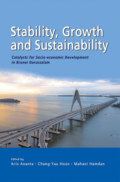 Aris Ananta, Chang-Yau Hoon, Mahani Hamdan - Stability, Growth and Substainability, Häftad