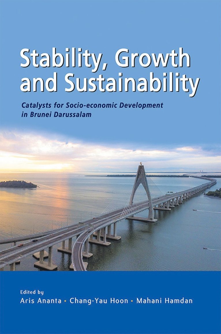 Aris Ananta, Chang-Yau Hoon, Mahani Hamdan, Yau Chang, Hoon, Hoon Yau Chang - Stability, Growth and Substainability, Häftad