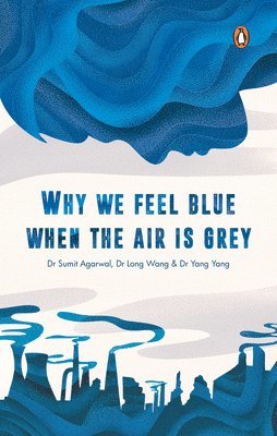 Why We Feel Blue When the Air is Grey 1