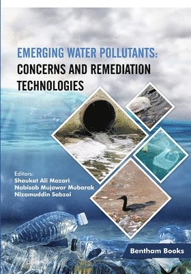 Shaukat Ali Mazari, Mubarak Nabisab Mujawar, Nizamuddin Sabzoi - Emerging Water Pollutants, Häftad