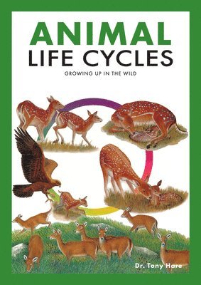 bokomslag Animal Life Cycles