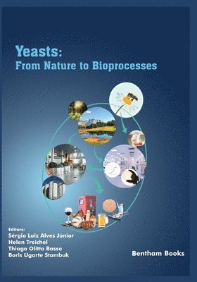 bokomslag Yeasts