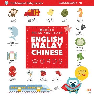 Press-and-Learn English Malay Chinese Words Sound Book 1