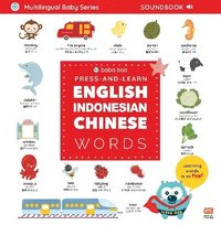 bokomslag Press-and-Learn English Indonesian Chinese Words Sound Book