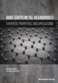 bokomslag Rare-Earth Metal Hexaborides