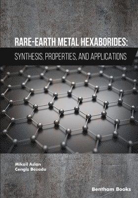 bokomslag Rare-Earth Metal Hexaborides