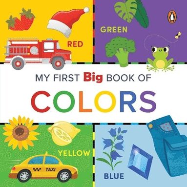 bokomslag My First Big Book of Colors