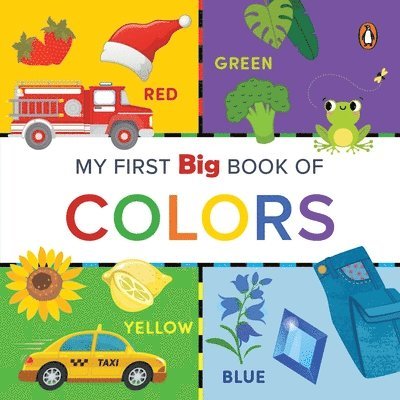 My First Big Book of Colors 1