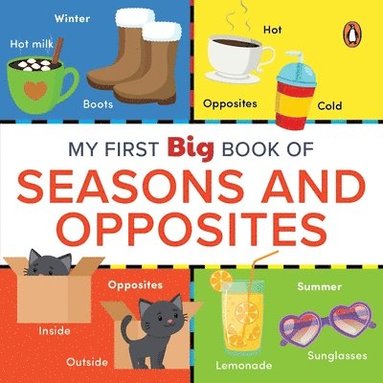 bokomslag My First Big Book of Seasons & Opposites