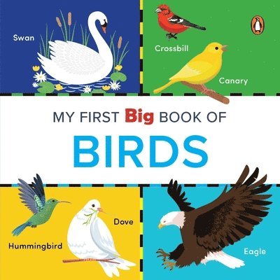 Penguin Books - My First Big Book of Birds, Kartonnage