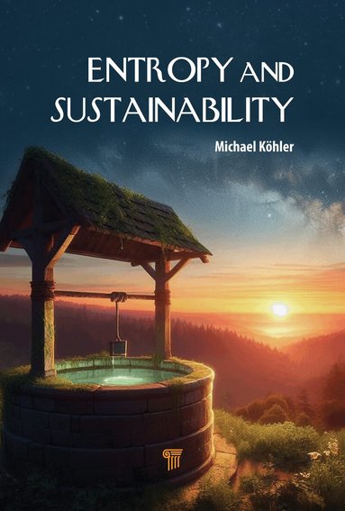 Michael Köhler - Entropy and Sustainability, Inbunden