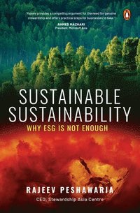 bokomslag Sustainable Sustainability