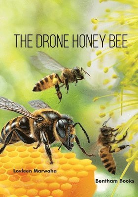 bokomslag Drone Honey Bee