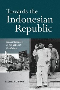 bokomslag Towards the Indonesian Republic