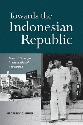 bokomslag Towards the Indonesian Republic