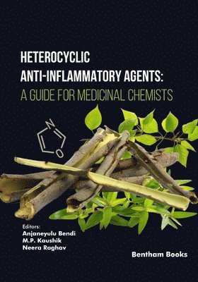 Anjaneyulu Bendi, M P Kaushik, Neera Raghav - Heterocyclic Anti-Inflammatory Agents, Häftad