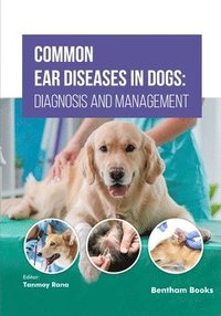 bokomslag Common Ear Diseases in Dogs