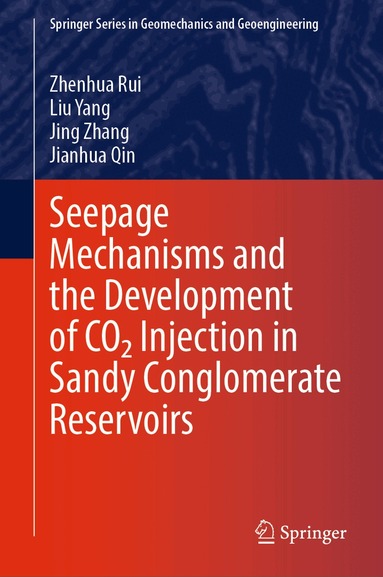 Zhenhua Rui, Liu Yang, Jing Zhang, Jianhua Qin - Seepage Mechanisms and the Development of CO₂ Injection in Sandy Conglomerate Reservoirs, Inbunden