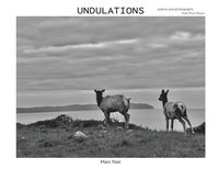 bokomslag Undulations