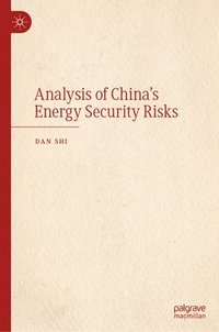 bokomslag Analysis of China's Energy Security Risks