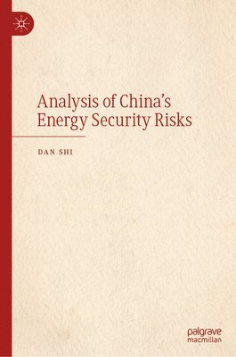 bokomslag Analysis of China's Energy Security Risks