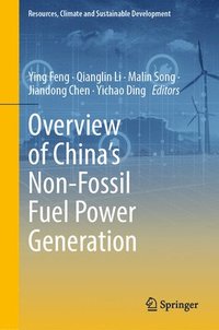 bokomslag Overview of China's Non-Fossil Fuel Power Generation
