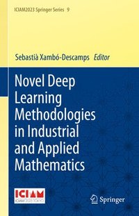 bokomslag Novel Deep Learning Methodologies in Industrial and Applied Mathematics