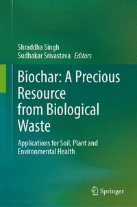 bokomslag Biochar: A Precious Resource from Biological Waste