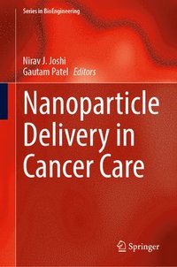 bokomslag Nanoparticle Delivery in Cancer Care