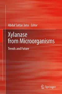 bokomslag Xylanase from Microorganisms: Trends and Future