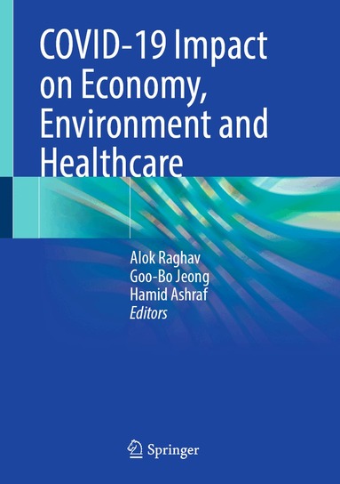 Alok Raghav, Goo-Bo Jeong, Hamid Ashraf - COVID-19 Impact on Economy, Environment and Healthcare, Inbunden