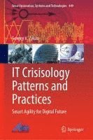 bokomslag IT Crisisology Patterns and Practices