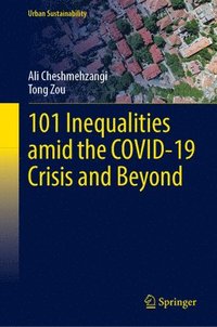 bokomslag 101 Inequalities amid the COVID-19 Crisis and Beyond