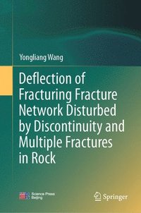 bokomslag Deflection of Fracturing Fracture Network Disturbed by Discontinuity and Multiple Fractures in Rock