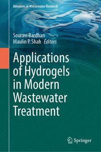 bokomslag Applications of Hydrogels in Modern Wastewater Treatment