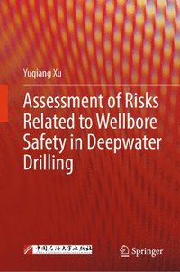 bokomslag Assessment of Risks Related to Wellbore Safety in Deepwater Drilling