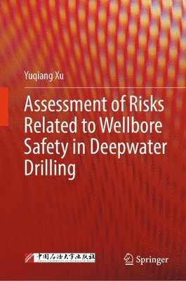 bokomslag Assessment of Risks Related to Wellbore Safety in Deepwater Drilling