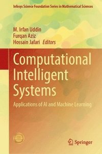 bokomslag Computational Intelligent Systems