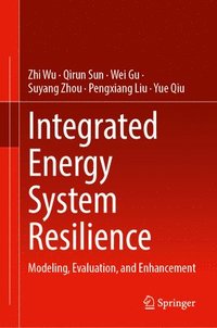 bokomslag Integrated Energy System Resilience