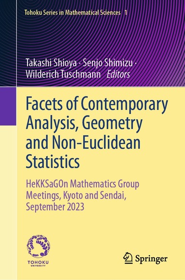 Takashi Shioya, Senjo Shimizu, Wilderich Tuschmann - Facets of Contemporary Analysis, Geometry and Non-Euclidean Statistics, Inbunden