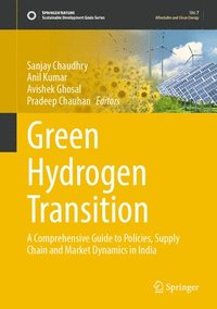 bokomslag Green Hydrogen Transition