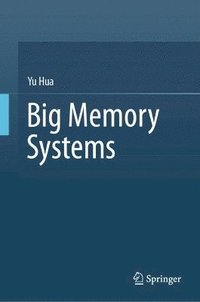 bokomslag Big Memory Systems
