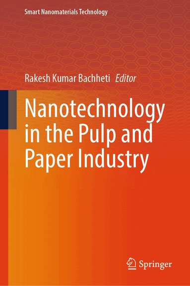 Rakesh Kumar Bachheti - Nanotechnology in the Pulp and Paper Industry, Inbunden