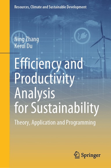 Ning Zhang, Kerui Du - Efficiency and Productivity Analysis for Sustainability, Inbunden