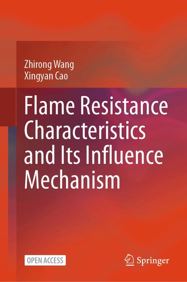Zhirong Wang, Xingyan Cao - Flame Resistance Characteristics and Its Influence Mechanism, Inbunden