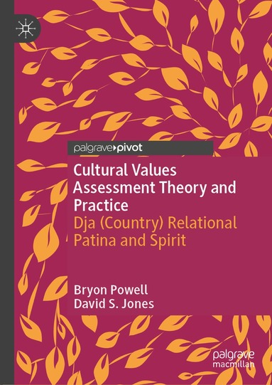 Bryon Powell, David S. Jones - Cultural Values Assessment Theory and Practice, Inbunden