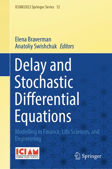 Elena Braverman, Anatoliy Swishchuk - Delay and Stochastic Differential Equations, Inbunden