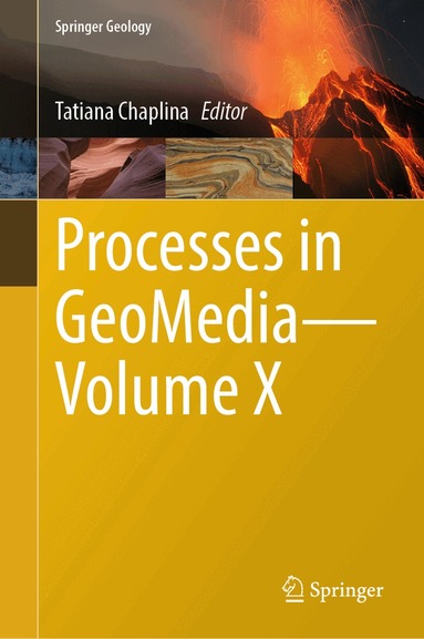 Tatiana Chaplina - Processes in GeoMedia—Volume X, Inbunden