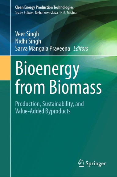 Veer Singh, Nidhi Singh, Sarva Mangala Praveena - Bioenergy from Biomass, Inbunden
