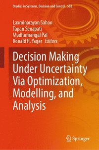 bokomslag Decision Making Under Uncertainty Via Optimization, Modelling, and Analysis